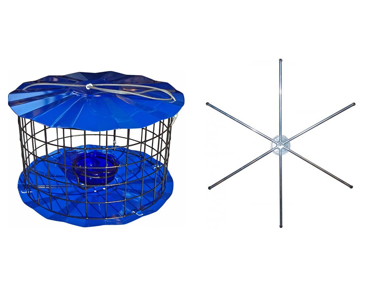 Barrier Guard Bluebird Feeder with Perch - Blue