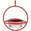 Hummble Bold Hanging Sphere Hummingbird Feeder with Red Perch