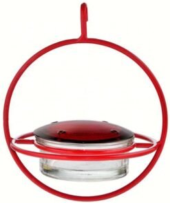 Hummble Bold Hanging Sphere Hummingbird Feeder with Red Perch