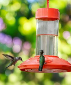Dr. JB's 16 oz Clean Hummingbird Feeder - Red with Red Flowers