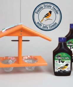 Double Oriole Feeder with Jelly Combo