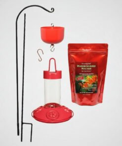 Hummingbird Feeder Station Bundle
