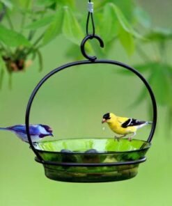 Cuban Hanging Bird Bath Or Feeder