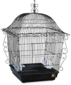 Prevue Pet Products Scrollwork Series Jumbo Tiel Scrollwork Bird Cage
