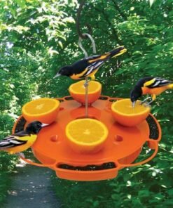Ultimate Oriole Feeder