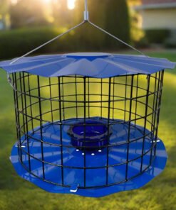Barrier Guard Specialty Bluebird Feeder - Blue