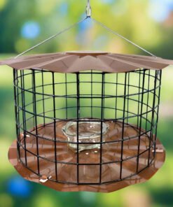 Barrier Guard Specialty Bluebird Feeder - Copper Tint