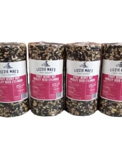 4 Pack Fruit Berry Nut Medley Seed Cylinder