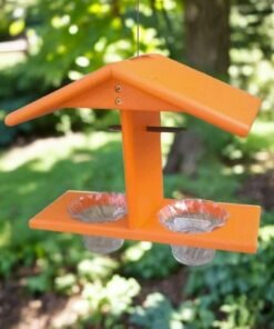 Double Oriole Feeder