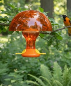 Fliteline Oriole Nectar Feeder with Weather Guard Combo
