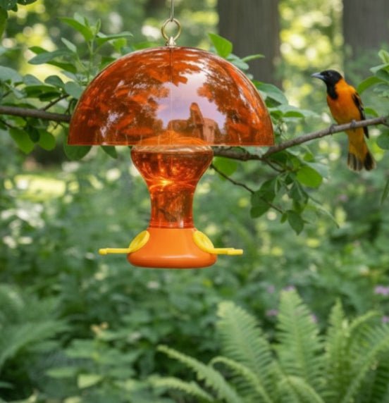Fliteline Oriole Nectar Feeder with Weather Guard Combo
