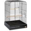 Prevue Pet Products Parrot Cage