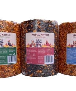 Mammal Mayhem Large Cylinder Variety Pack -  3 Pack