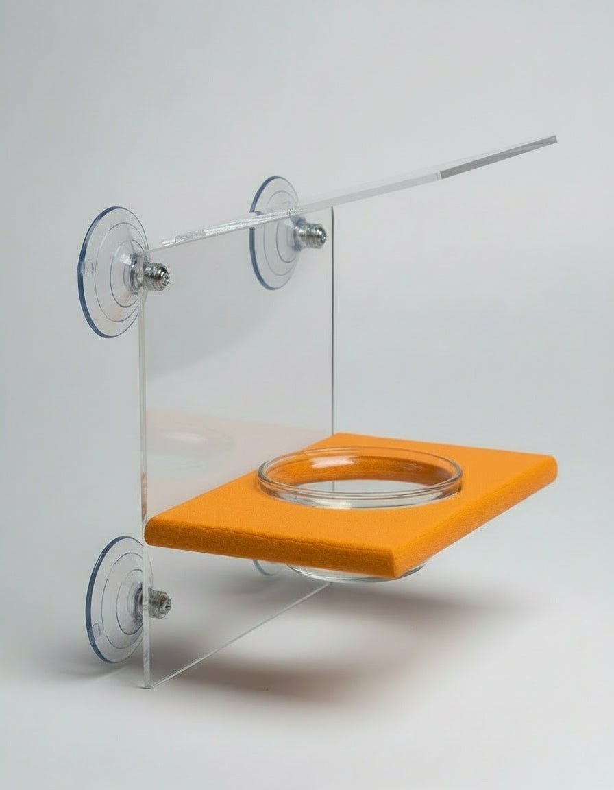 Window Mount Fruit Bowl Recycled Feeder